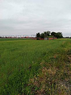 PLAC BATAJNICA 291000e